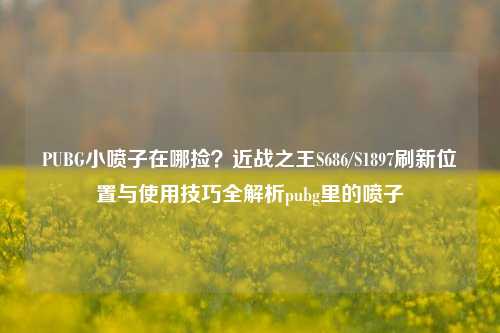PUBG小喷子在哪捡？近战之王S686/S1897刷新位置与使用技巧全解析pubg里的喷子