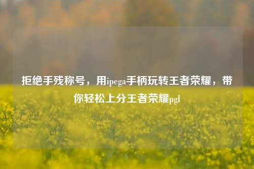 拒绝手残称号，用ipega手柄玩转王者荣耀，带你轻松上分王者荣耀pgl