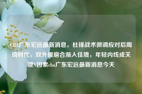 CBA广东宏远最新消息,杜锋战术微调应对后周琦时代,双外援磨合渐入佳境,年轻内线成关键X因素cba广东宏远最新消息今天