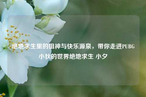 绝地求生里的狙神与快乐源泉，带你走进PUBG小狄的世界绝地求生 小夕