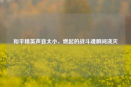 和平精英声音太小，燃起的战斗魂瞬间浇灭