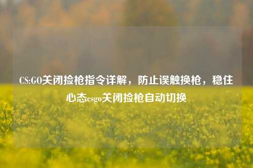 CS:GO关闭捡枪指令详解，防止误触换枪，稳住心态csgo关闭捡枪自动切换
