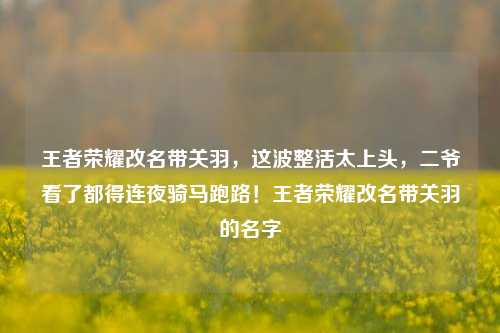 王者荣耀改名带关羽,这波整活太上头,二爷看了都得连夜骑马跑路!王者荣耀改名带关羽的名字