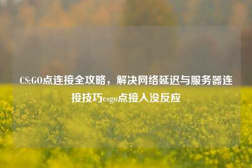 CS:GO点连接全攻略,解决网络延迟与服务器连接技巧csgo点接入没反应