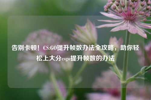 告别卡顿!CS:GO提升帧数办法全攻略,助你轻松上大分csgo提升帧数的办法