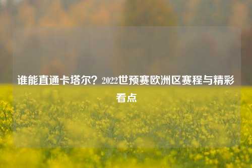 谁能直通卡塔尔?2022世预赛欧洲区赛程与精彩看点