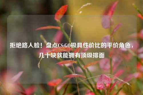 拒绝路人脸！盘点CS:GO极具性价比的平价角色，几十块就能拥有顶级排面