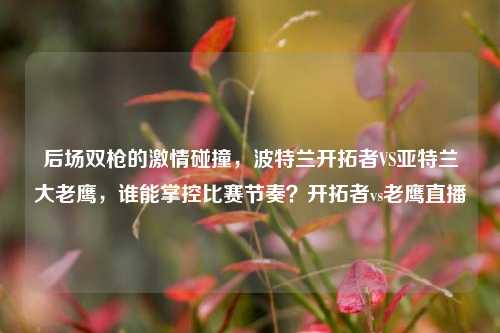 后场双枪的激情碰撞,波特兰开拓者VS亚特兰大老鹰,谁能掌控比赛节奏?开拓者vs老鹰直播