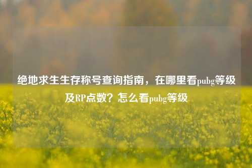 绝地求生生存称号查询指南，在哪里看pubg等级及RP点数？怎么看pubg等级