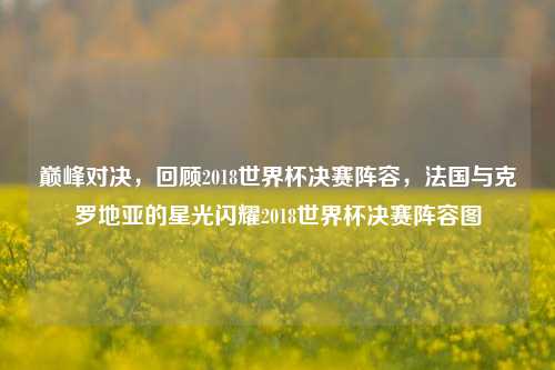 巅峰对决，回顾2018世界杯决赛阵容，法国与克罗地亚的星光闪耀2018世界杯决赛阵容图