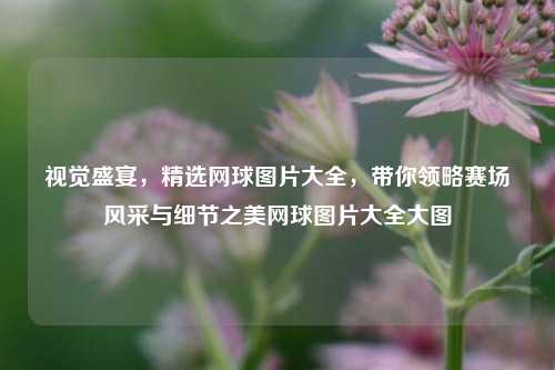 视觉盛宴，精选网球图片大全，带你领略赛场风采与细节之美网球图片大全大图