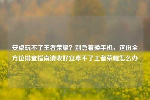 安卓玩不了王者荣耀？别急着换手机，这份全方位排查指南请收好安卓不了王者荣耀怎么办