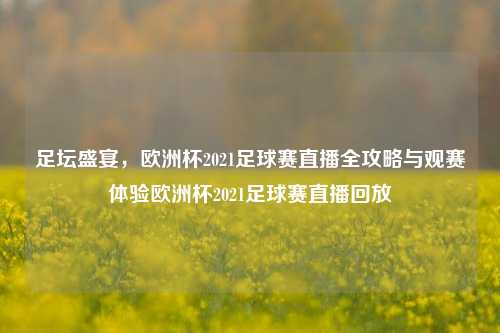 足坛盛宴，欧洲杯2021足球赛直播全攻略与观赛体验欧洲杯2021足球赛直播回放
