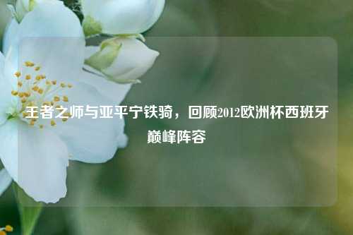 王者之师与亚平宁铁骑,回顾2012欧洲杯西班牙巅峰阵容