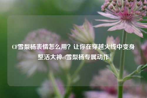 CF雪梨杨表情怎么用？让你在穿越火线中变身整活大神cf雪梨杨专属动作