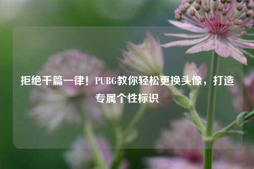 拒绝千篇一律！PUBG教你轻松更换头像，打造专属个性标识