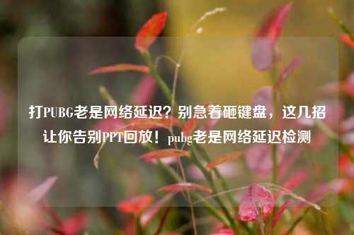 打PUBG老是网络延迟？别急着砸键盘，这几招让你告别PPT回放！pubg老是网络延迟检测