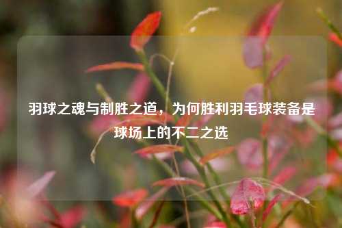 羽球之魂与制胜之道，为何胜利羽毛球装备是球场上的不二之选