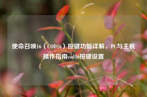 使命召唤16（COD16）按键功能详解，PC与主机操作指南cod16按键设置