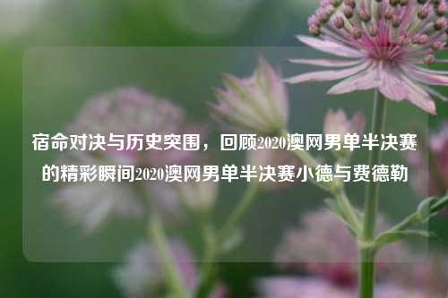 宿命对决与历史突围，回顾2020澳网男单半决赛的精彩瞬间2020澳网男单半决赛小德与费德勒