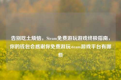 告别吃土烦恼，Steam免费游玩游戏终极指南，你的钱包会感谢你免费游玩steam游戏平台有哪些