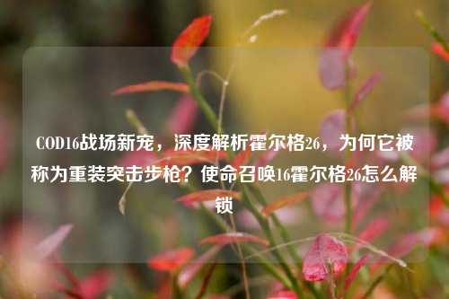 COD16战场新宠,深度解析霍尔格26,为何它被称为重装突击步枪?使命召唤16霍尔格26怎么解锁