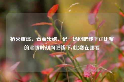 枪火重燃，青春集结，记一场网吧线下CF比赛的沸腾时刻网吧线下cf比赛在哪看