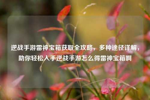 逆战手游雷神宝箱获取全攻略,多种途径详解,助你轻松入手逆战手游怎么得雷神宝箱啊