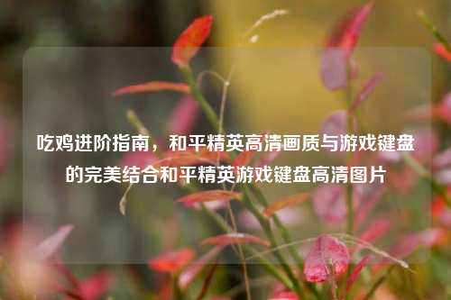 吃鸡进阶指南，和平精英高清画质与游戏键盘的完美结合和平精英游戏键盘高清图片