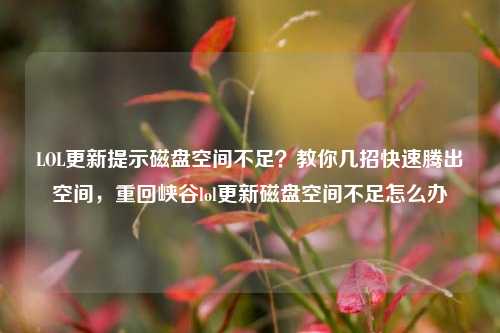 LOL更新提示磁盘空间不足?教你几招快速腾出空间,重回峡谷lol更新磁盘空间不足怎么办