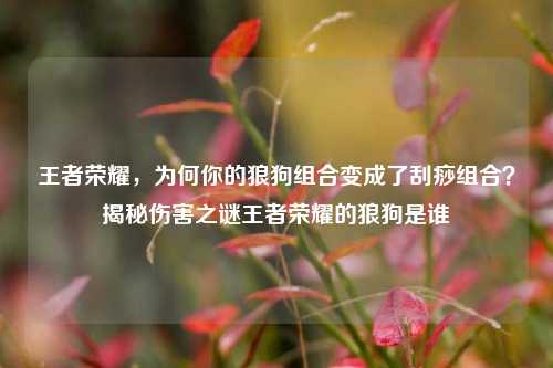 王者荣耀,为何你的狼狗组合变成了刮痧组合?揭秘伤害之谜王者荣耀的狼狗是谁