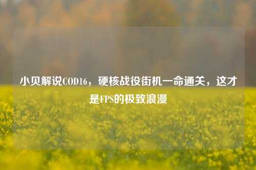 小贝解说COD16，硬核战役街机一命通关，这才是FPS的极致浪漫