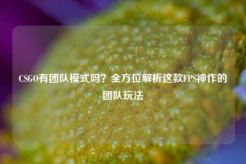 CSGO有团队模式吗？全方位解析这款FPS神作的团队玩法