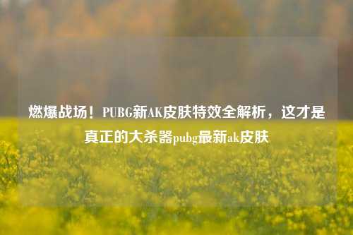 燃爆战场！PUBG新AK皮肤特效全解析，这才是真正的大杀器pubg最新ak皮肤