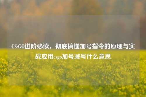 CS:GO进阶必读，彻底搞懂加号指令的原理与实战应用csgo加号减号什么意思