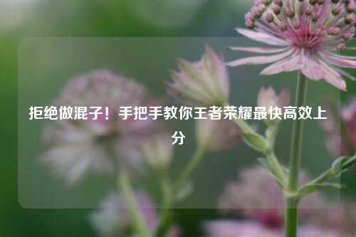 拒绝做混子！手把手教你王者荣耀最快高效上分