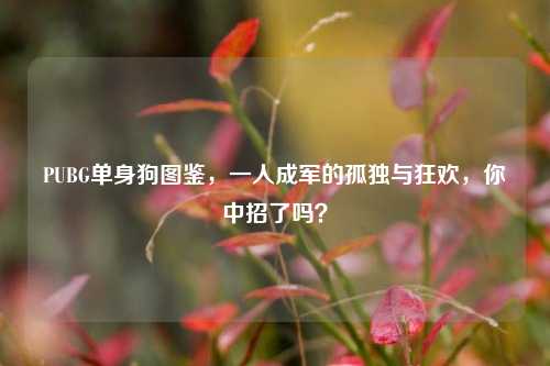 PUBG单身狗图鉴,一人成军的孤独与狂欢,你中招了吗?