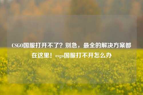 CSGO国服打开不了？别急，最全的解决方案都在这里！csgo国服打不开怎么办