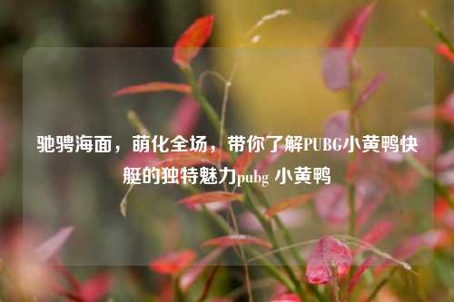驰骋海面，萌化全场，带你了解PUBG小黄鸭快艇的独特魅力pubg 小黄鸭