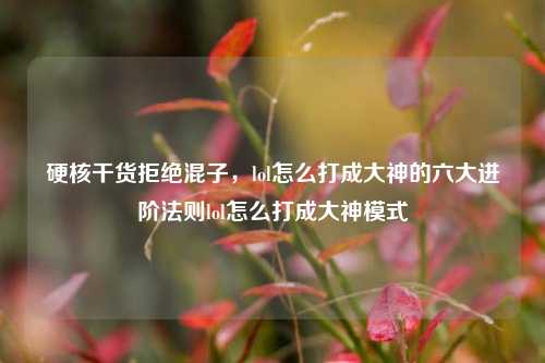 硬核干货拒绝混子，lol怎么打成大神的六大进阶法则lol怎么打成大神模式