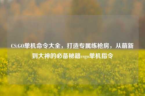 CS:GO单机命令大全，打造专属练枪房，从萌新到大神的必备秘籍csgo单机指令