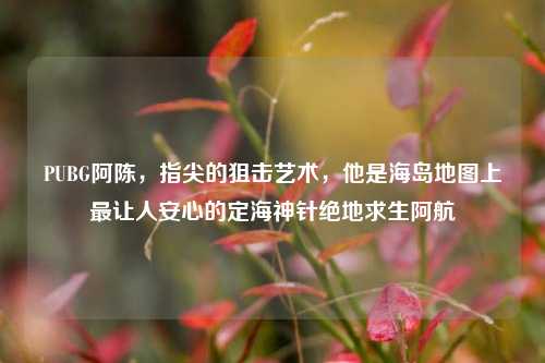PUBG阿陈，指尖的狙击艺术，他是海岛地图上最让人安心的定海神针绝地求生阿航