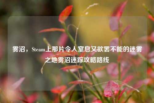 雾沼，Steam上那片令人窒息又欲罢不能的迷雾之地雾沼迷踪攻略路线