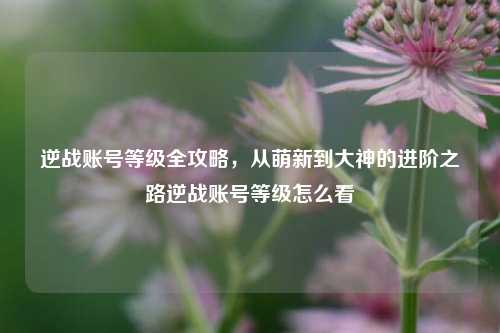 逆战账号等级全攻略，从萌新到大神的进阶之路逆战账号等级怎么看
