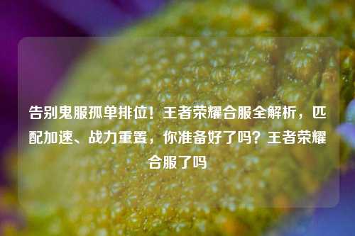 告别鬼服孤单排位!王者荣耀合服全解析,匹配加速、战力重置,你准备好了吗?王者荣耀合服了吗