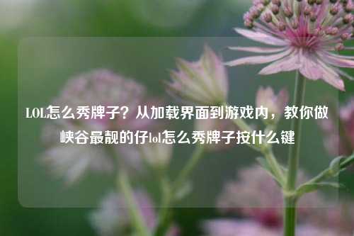 LOL怎么秀牌子？从加载界面到游戏内，教你做峡谷最靓的仔lol怎么秀牌子按什么键