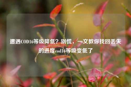遭遇COD16等级降低？别慌，一文教你找回丢失的进度cod16等级变低了