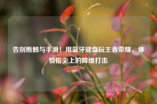 告别断触与手滑！用蓝牙键盘玩王者荣耀，体验指尖上的降维打击