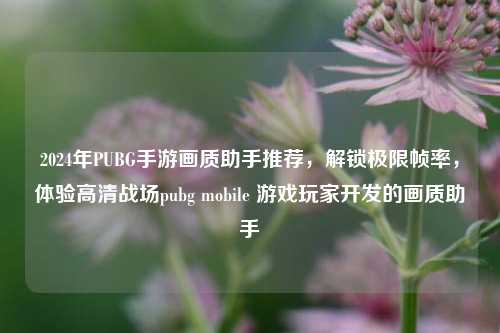 2024年PUBG手游画质助手推荐，解锁极限帧率，体验高清战场pubg mobile 游戏玩家开发的画质助手