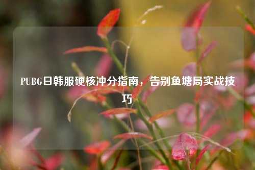 PUBG日韩服硬核冲分指南，告别鱼塘局实战技巧